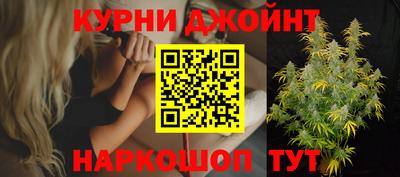 шишки Бузулук