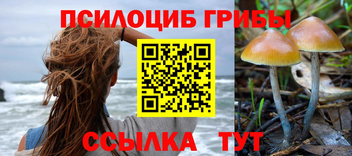 Галлюциногенные грибы Psilocybine cubensis  Вход с VPN  Уварово 